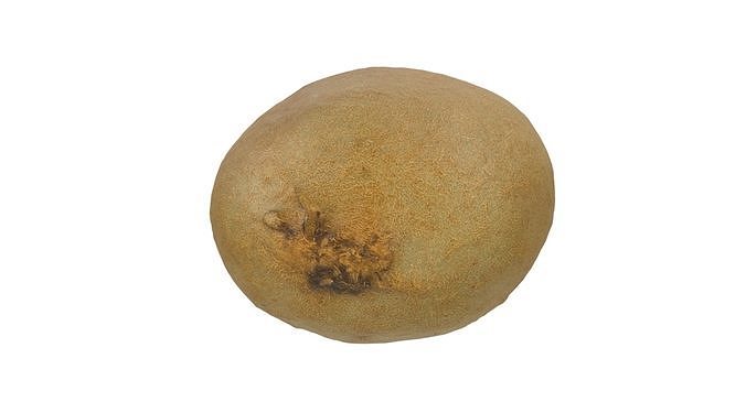 Kiwi And Half Of Kiwi 3D Model Pack 4
