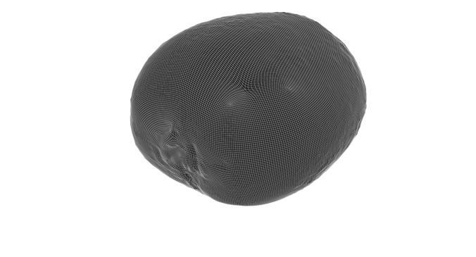 Kiwi And Half Of Kiwi 3D Model Pack 6