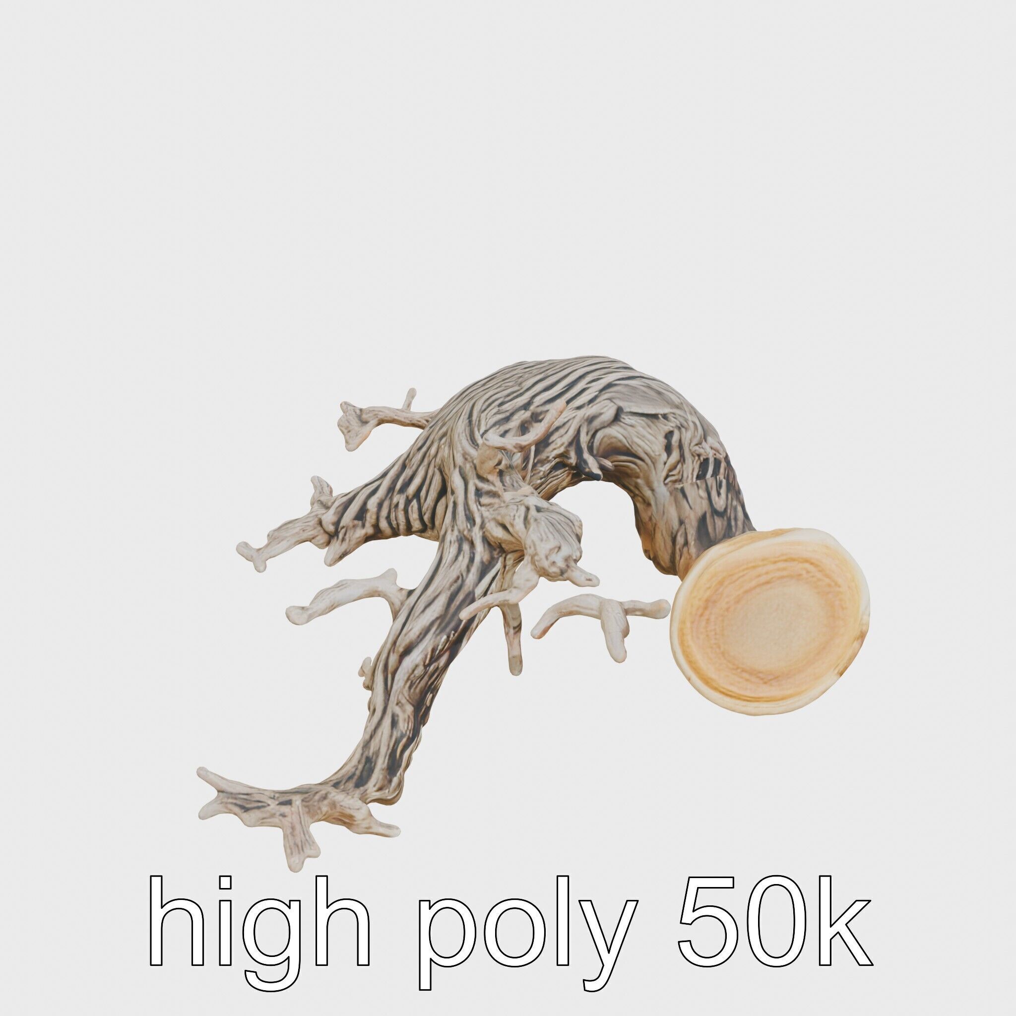 Dead Tree Branch and Trunk 3D Model Low-poly 3D model_19