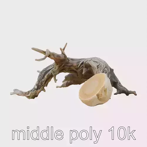 Dead Tree Branch and Trunk 3D Model Low-poly 3D model