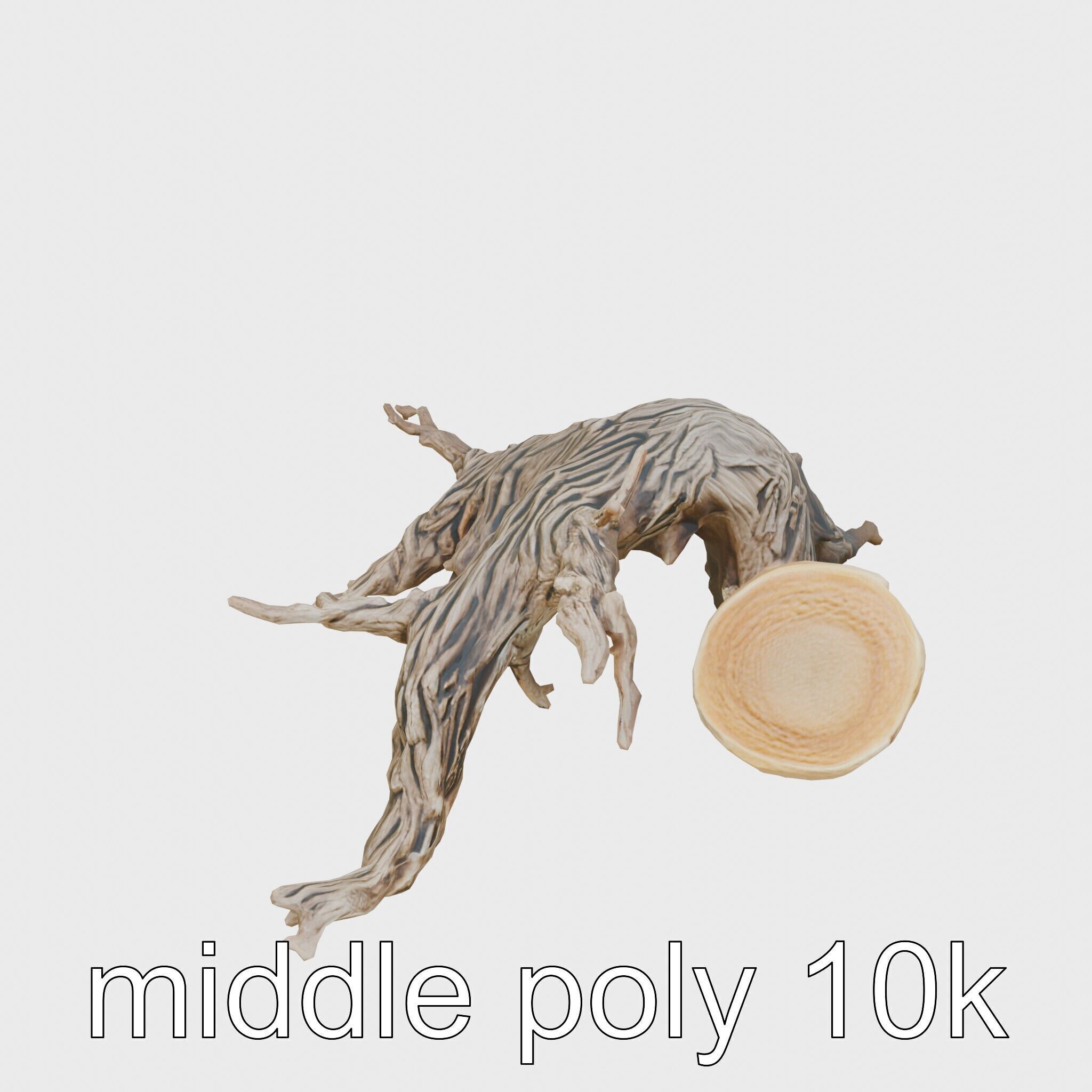 Dead Tree Branch and Trunk 3D Model Low-poly 3D model_30