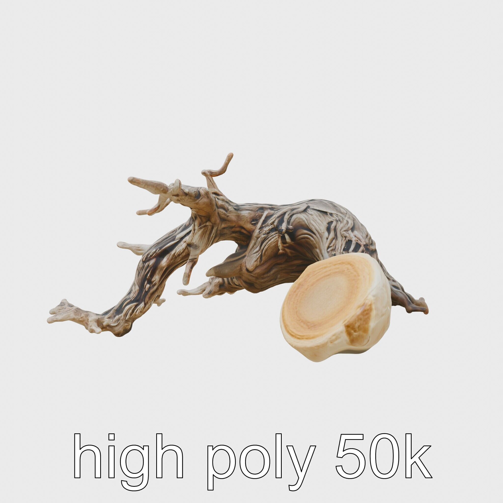 Dead Tree Branch and Trunk 3D Model Low-poly 3D model_5