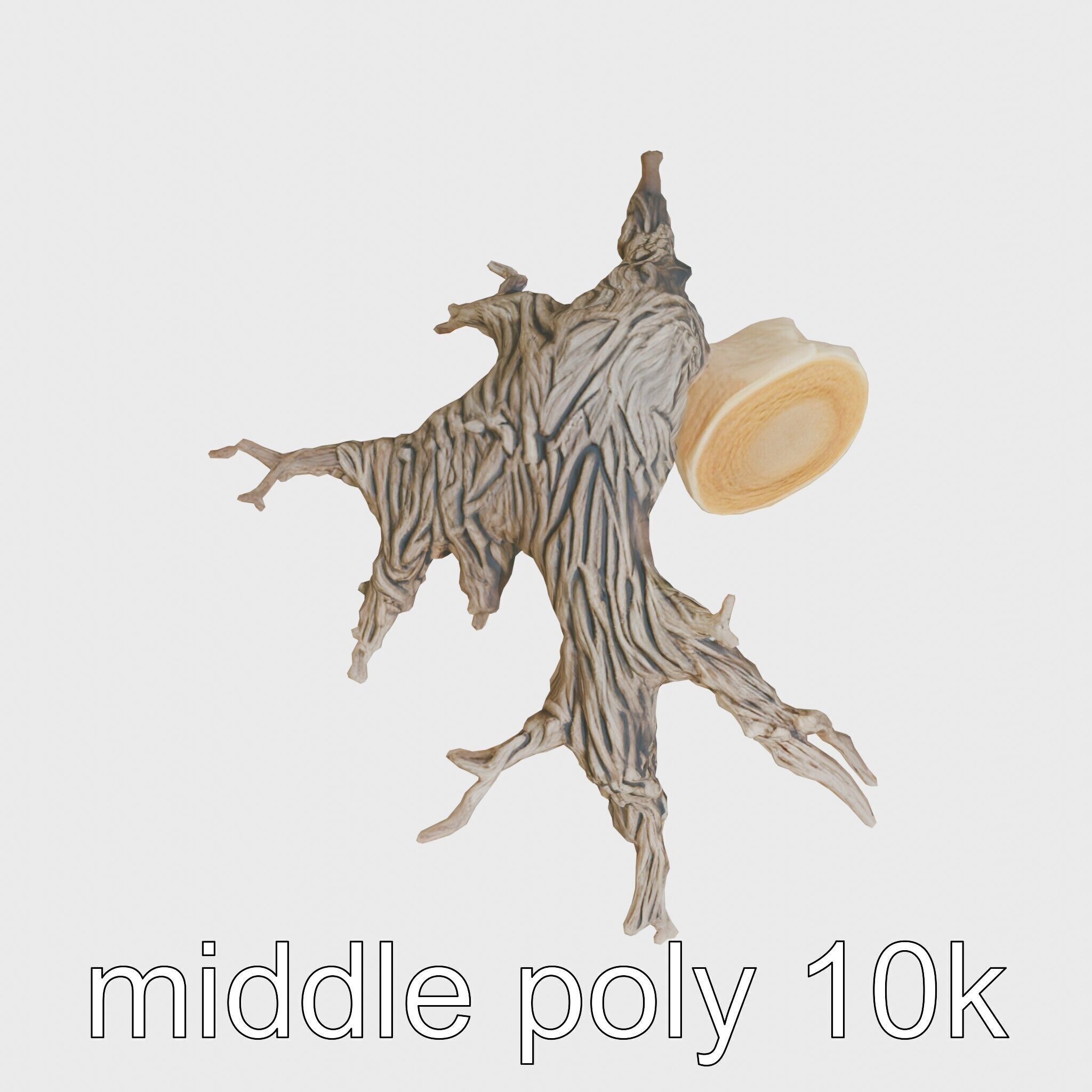 Dead Tree Branch and Trunk 3D Model Low-poly 3D model_12