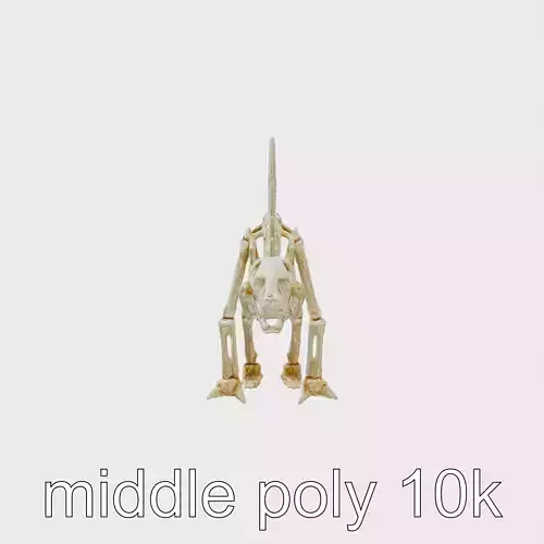 Stegosaurus Skeleton Realistic 3D Model