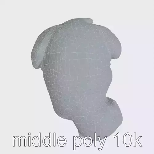 Sleeping Meerkat Animal 3D Model