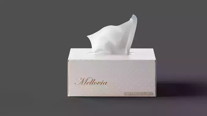 Tissue Box