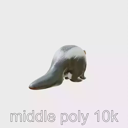 Striped Skunk Realistic 3D Model Low-poly 3D model