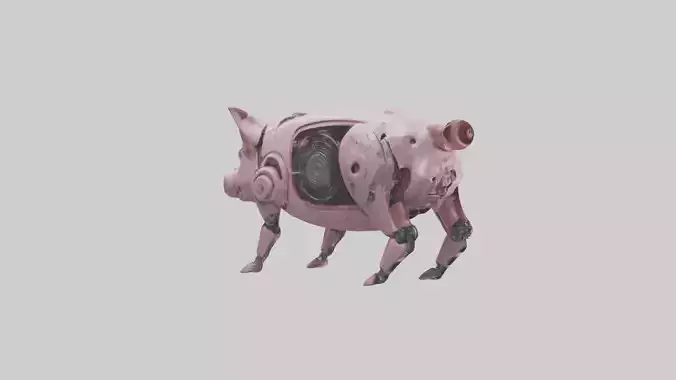 Robot version of a pig model