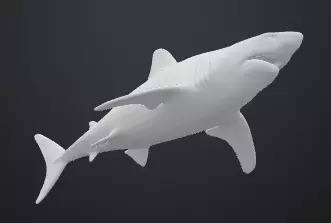Shark 3D print model_0