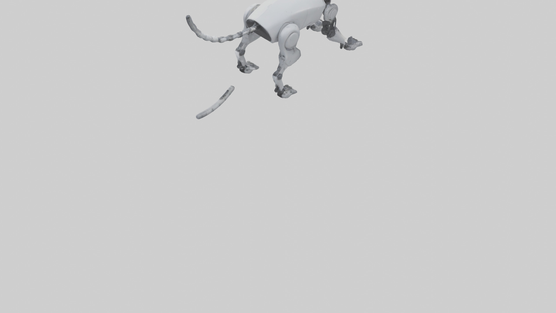 Robot version of a robot cat model 3D model_4
