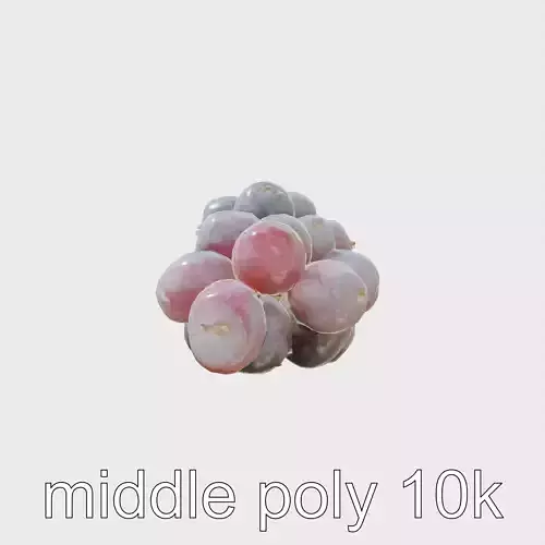 Realistic Purple Grape Cluster Model