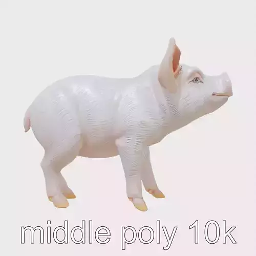 Charming Piglet 3D Animal Model