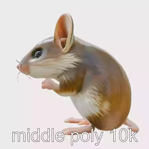 Adorable Cartoon Mouse Character Model