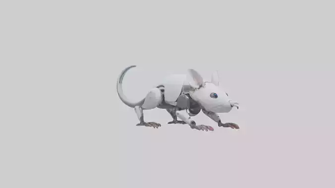 Robot version of a robot mouse model