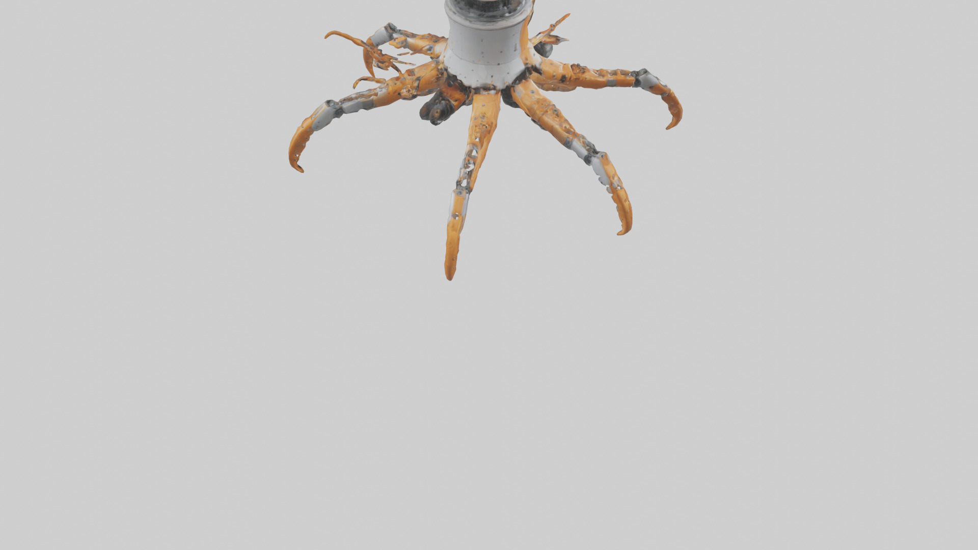 Robot version of a robot starfish model 3D model_5