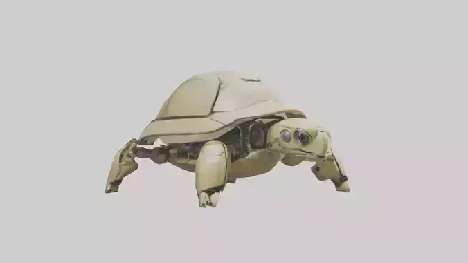 Robot version of a robot turtle model