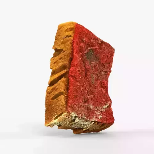 Photorealistic 3D scan of dirty used sponge 
