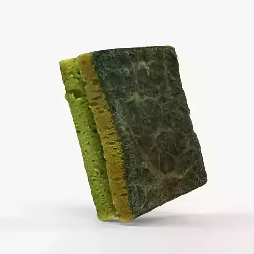 Photorealistic 3D scan of dirty used sponge