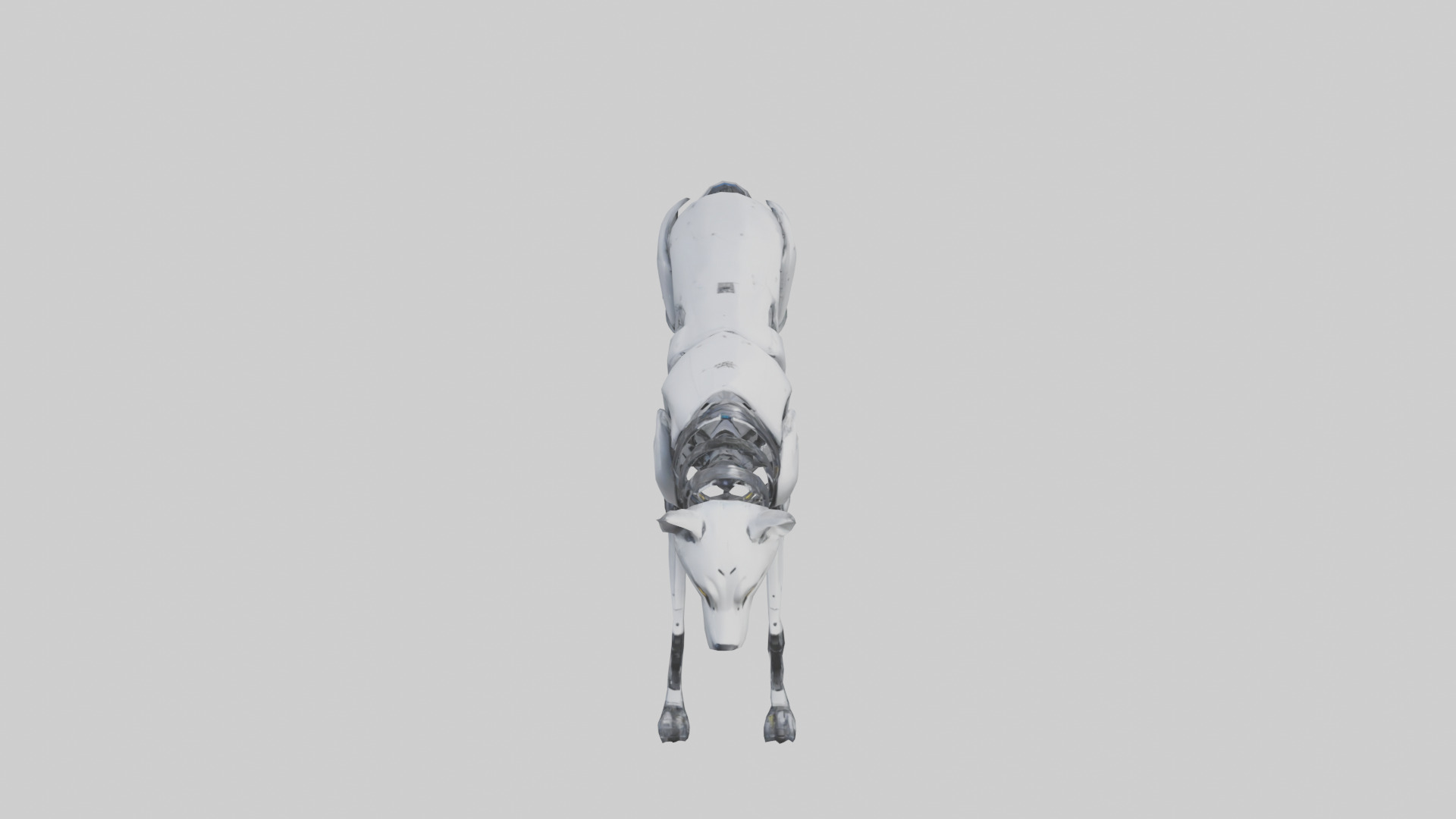 Robot version of a robot wolf with advanced sensors model 3D model_16