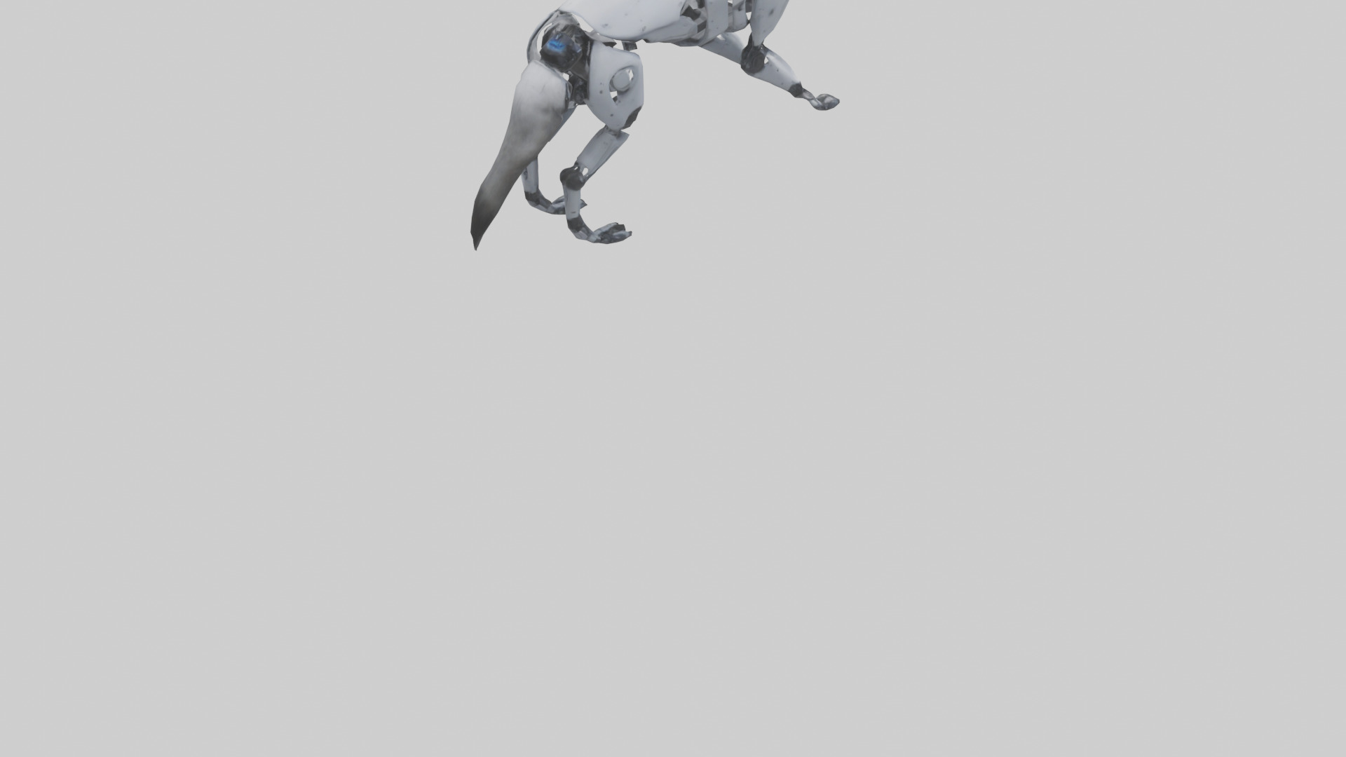 Robot version of a robot wolf with advanced sensors model 3D model_5