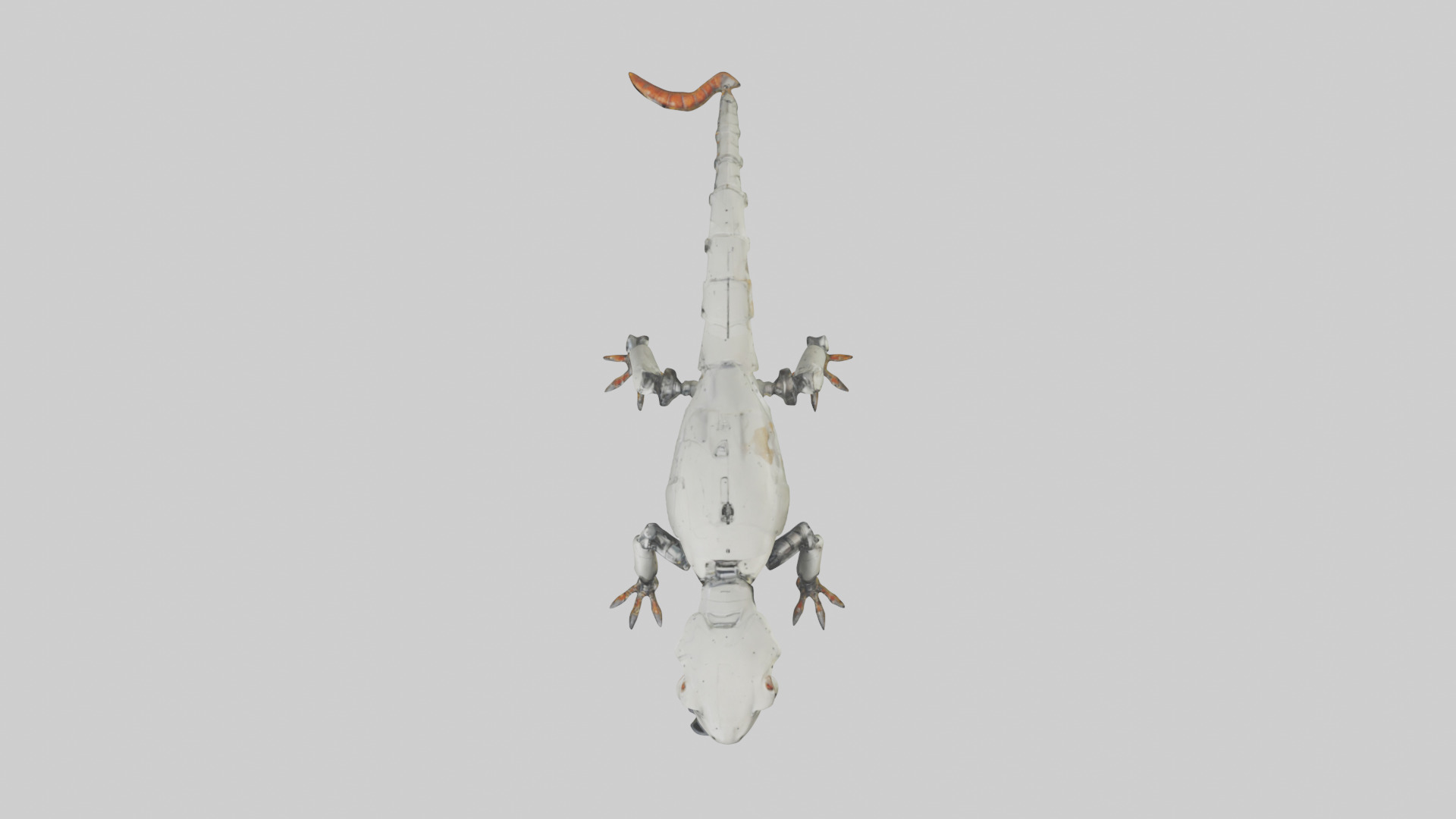 Robot version of a salamander model 3D model_14