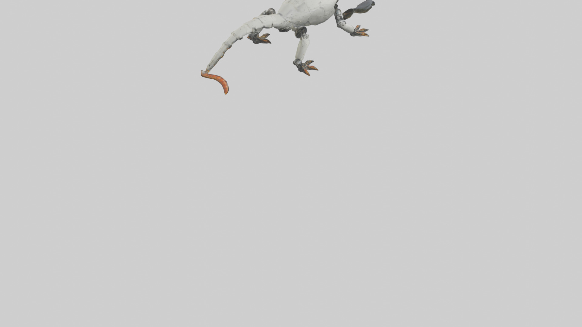 Robot version of a salamander model 3D model_6