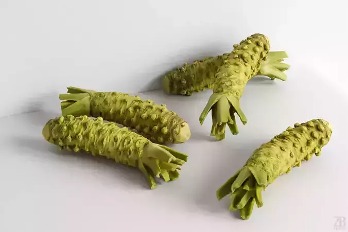 Wasabi 3D model