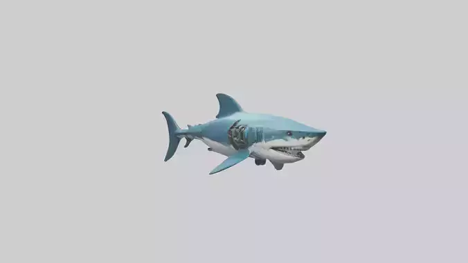 Robot version of a shark model