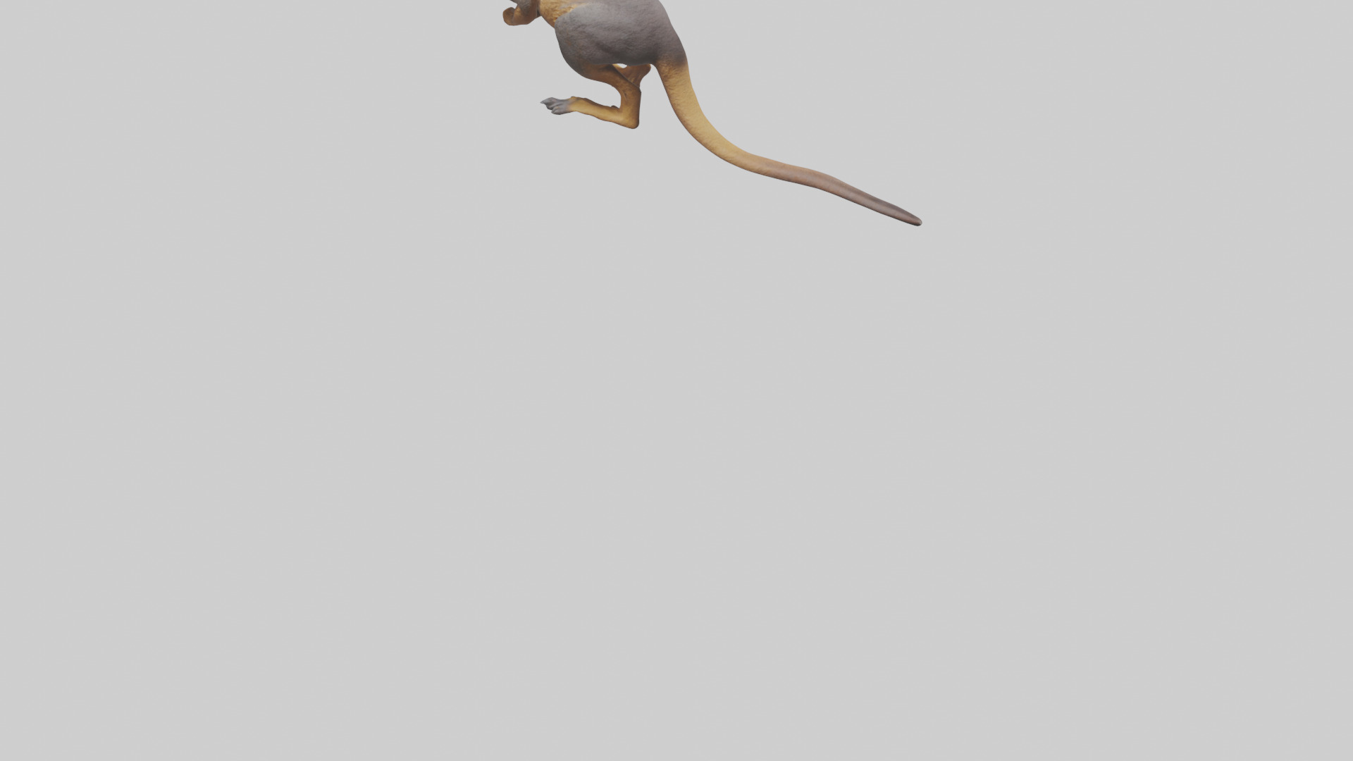 Rock Wallaby climbing model 3D model_5