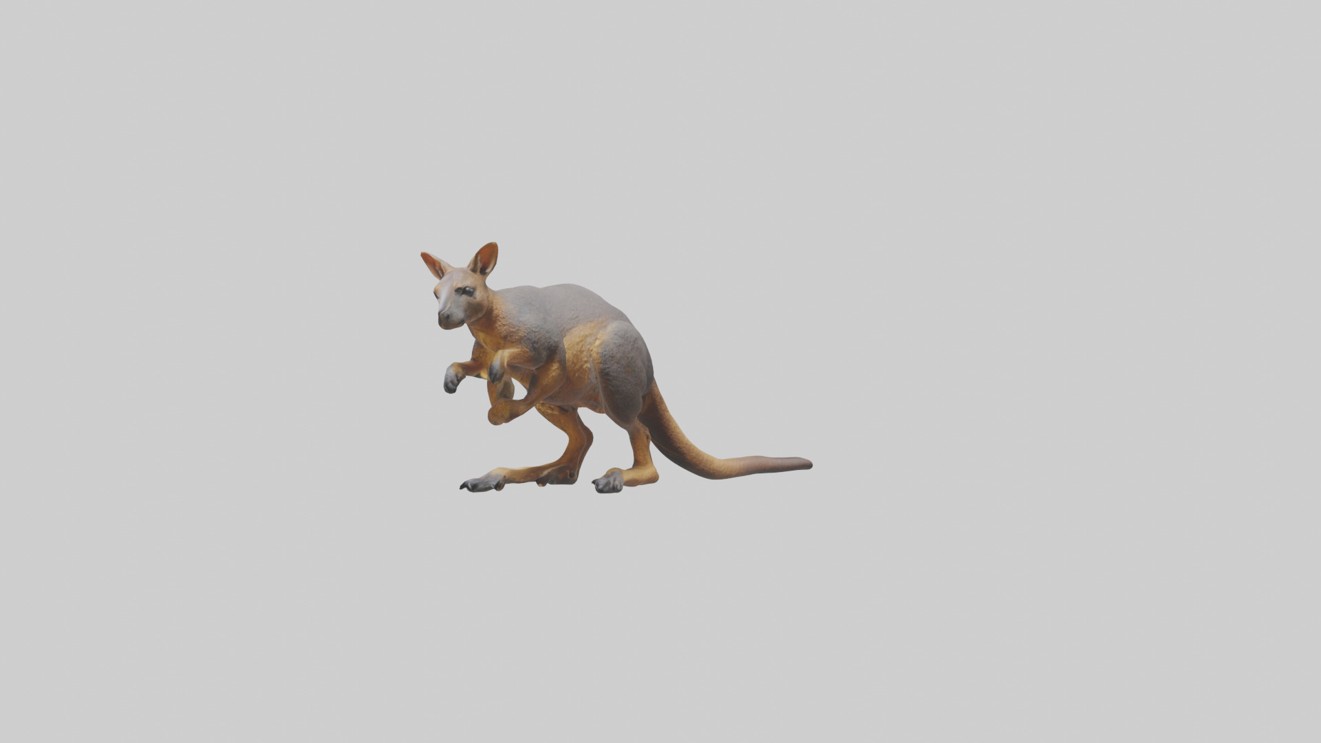 Rock Wallaby climbing model 3D model_1