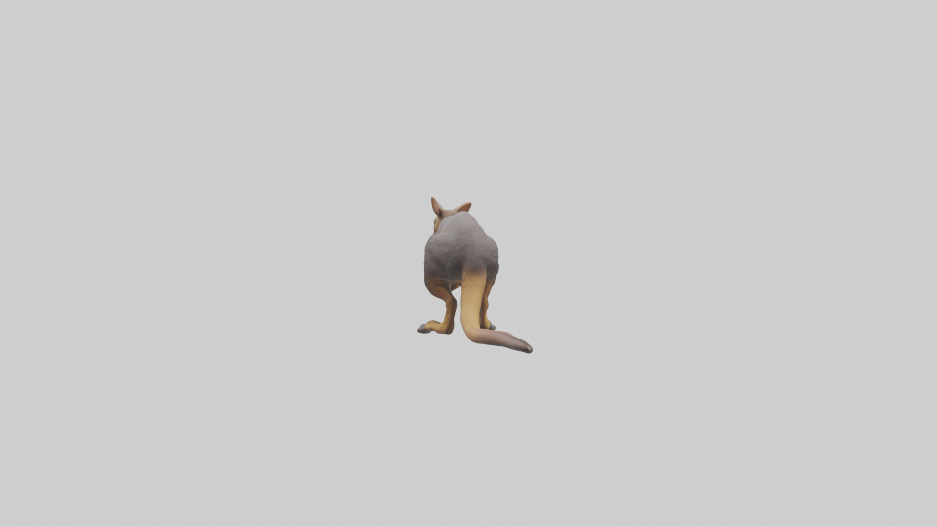 Rock Wallaby climbing model 3D model_2
