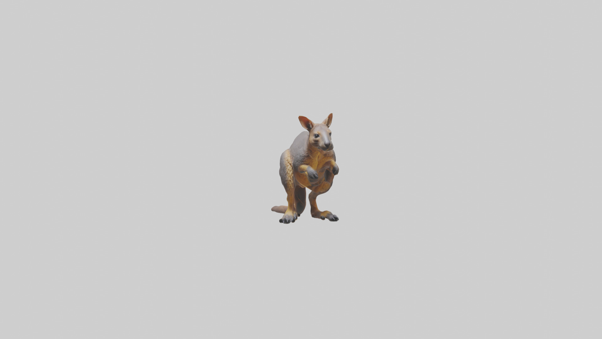 Rock Wallaby climbing model 3D model_9