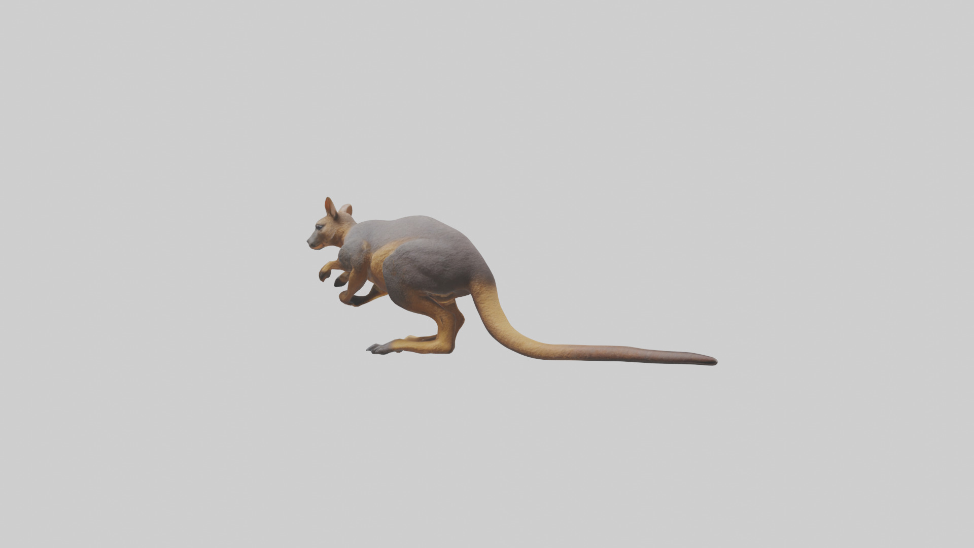 Rock Wallaby climbing model 3D model_3