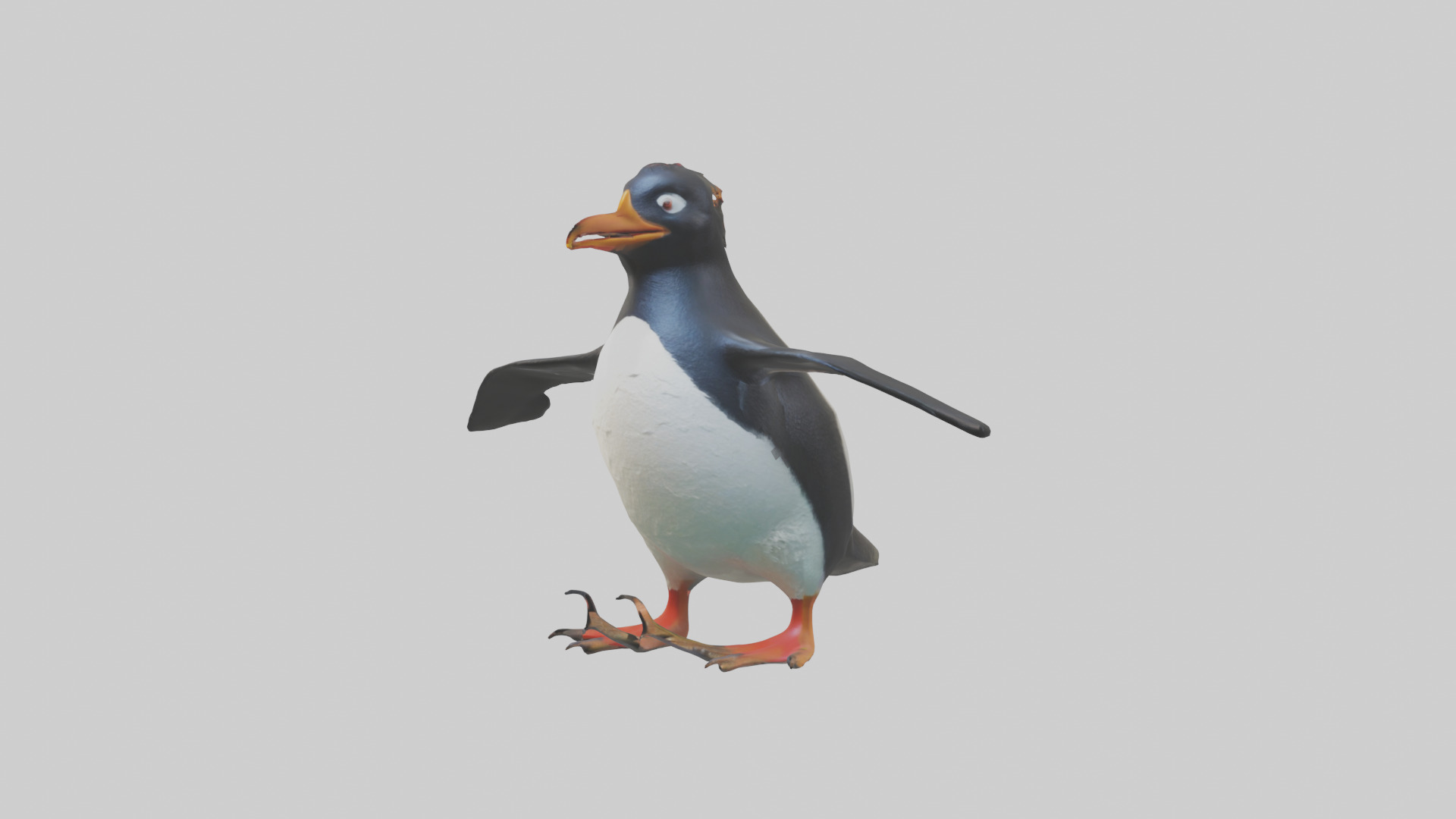 Rockhopper Penguin hopping model 3D model_10