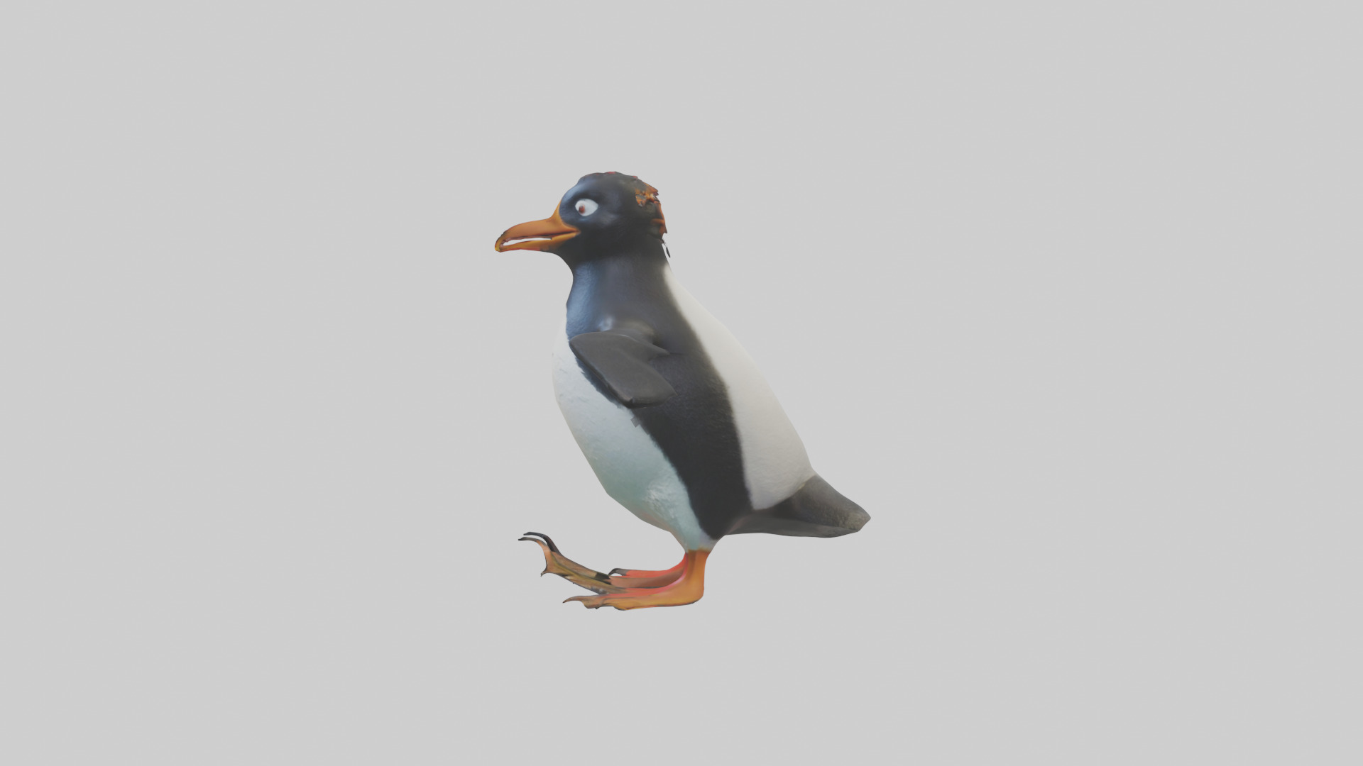 Rockhopper Penguin hopping model 3D model_12