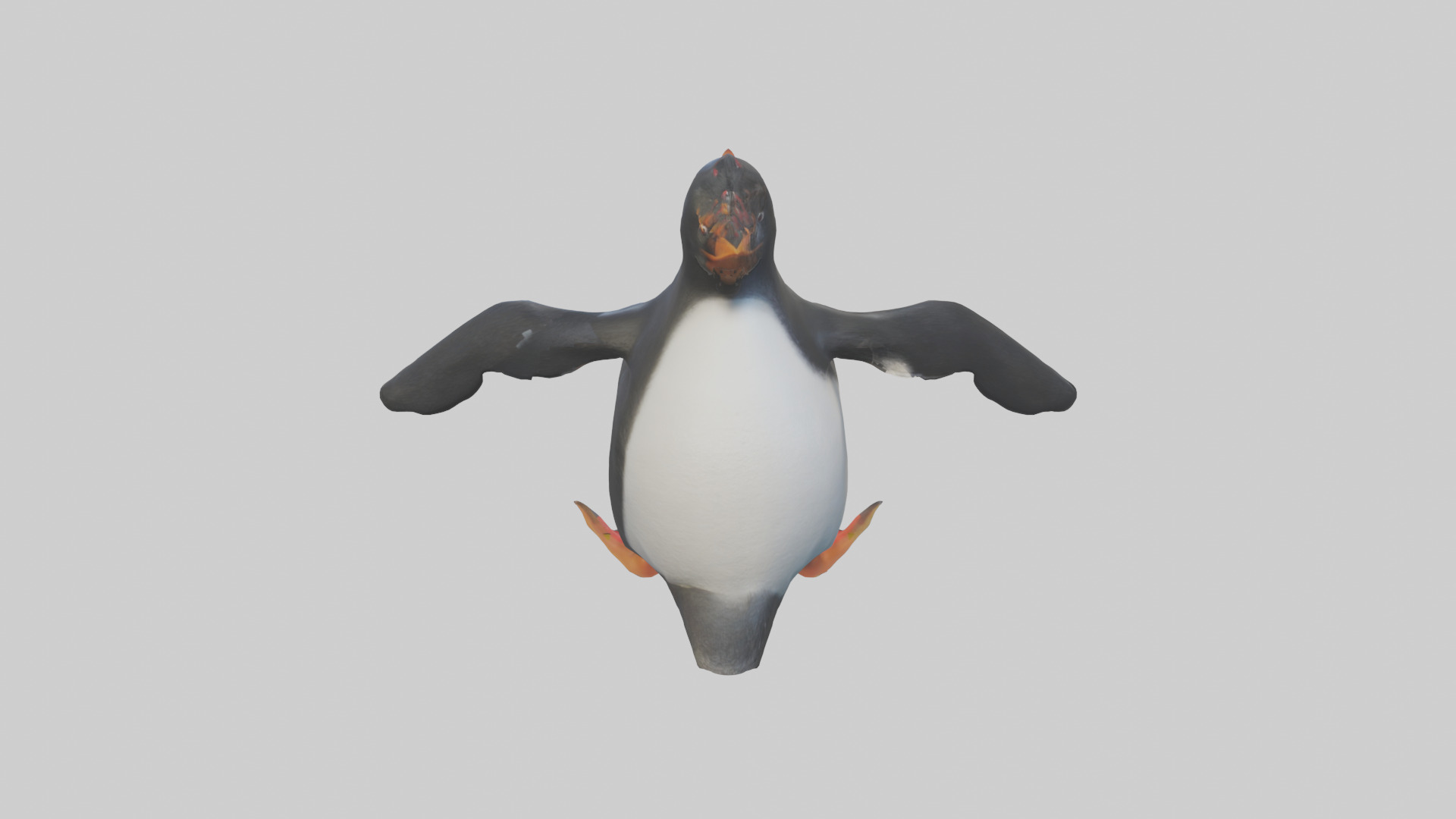 Rockhopper Penguin hopping model 3D model_15
