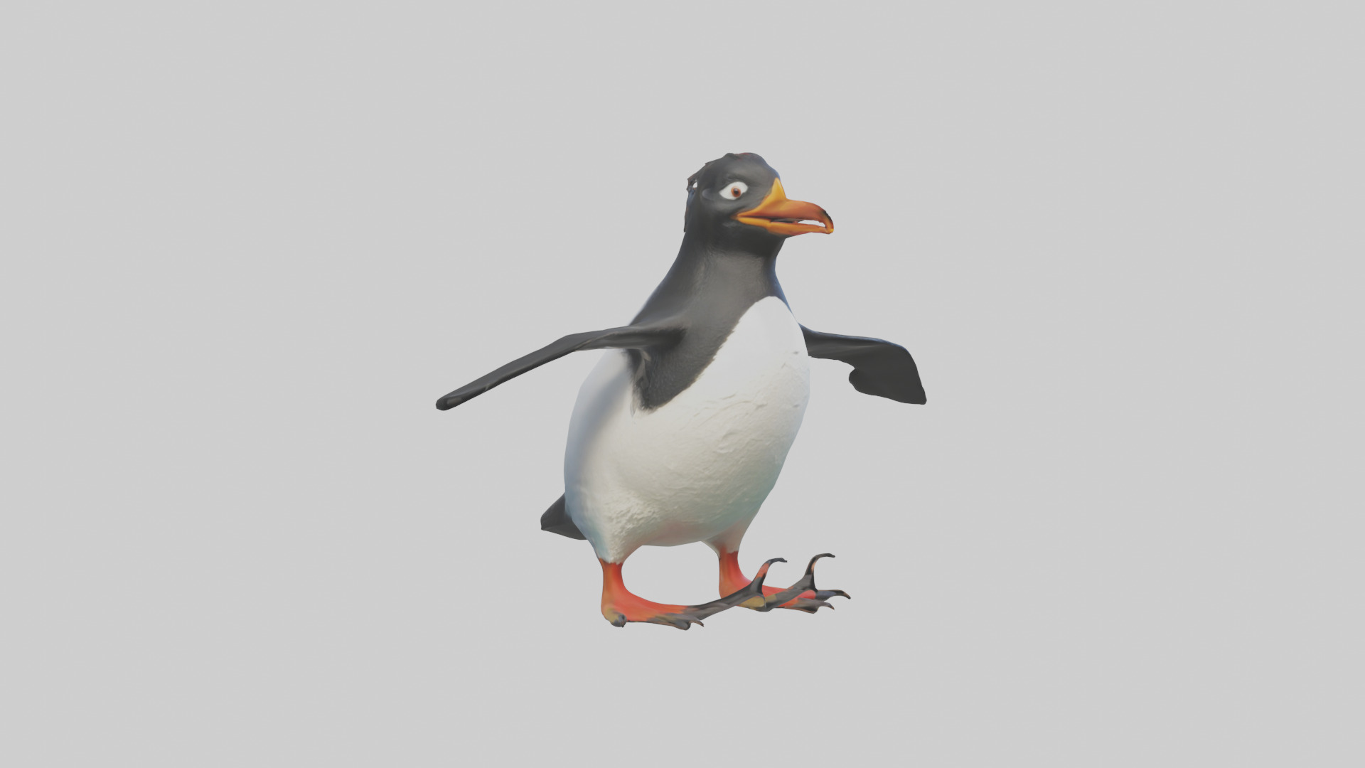 Rockhopper Penguin hopping model 3D model_11