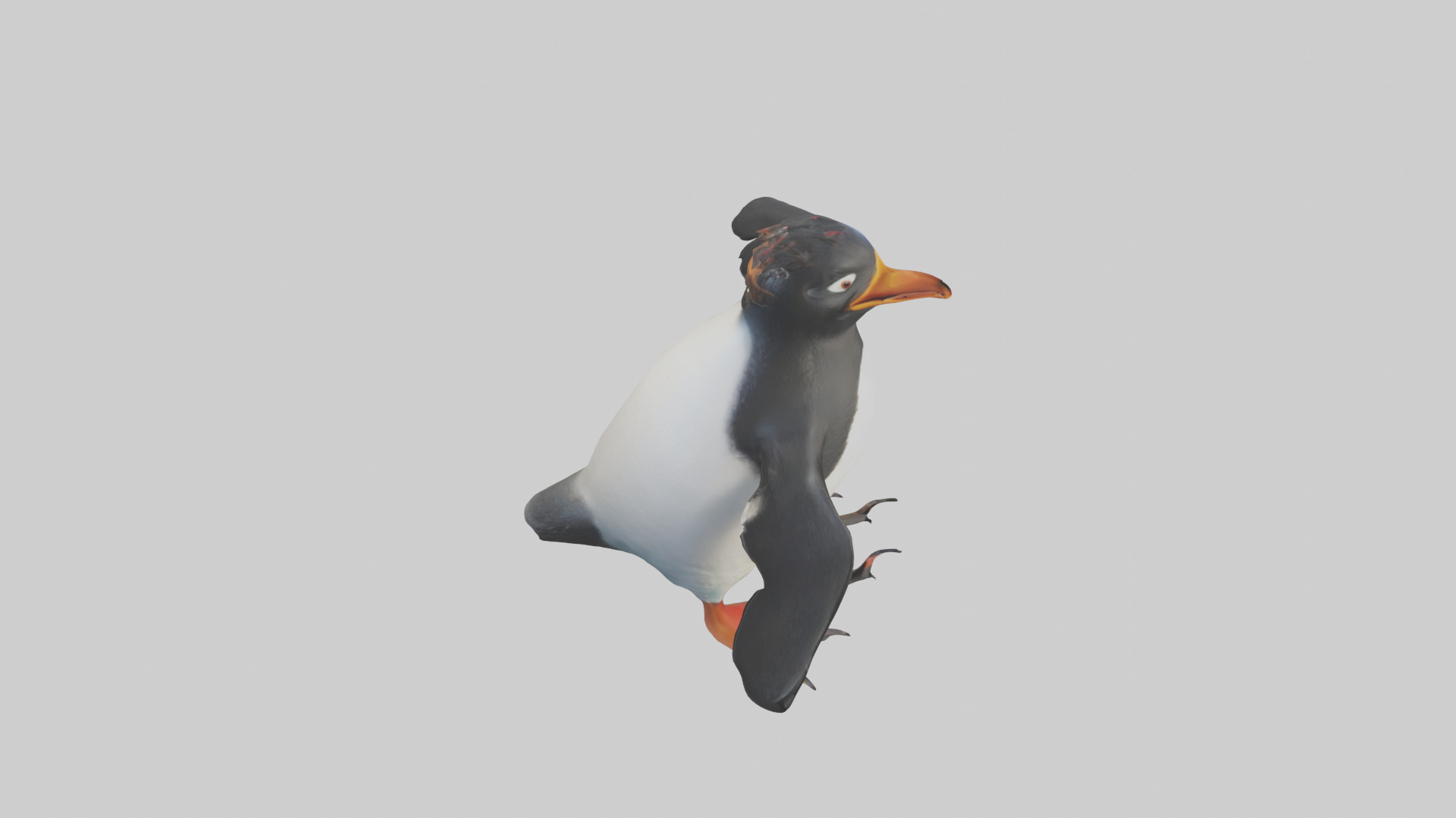 Rockhopper Penguin hopping model 3D model_18