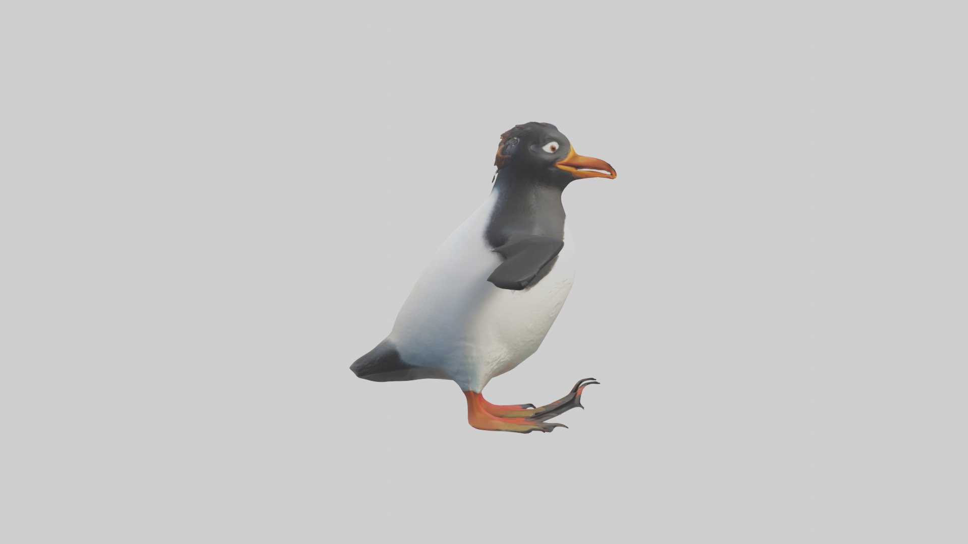 Rockhopper Penguin hopping model 3D model_13