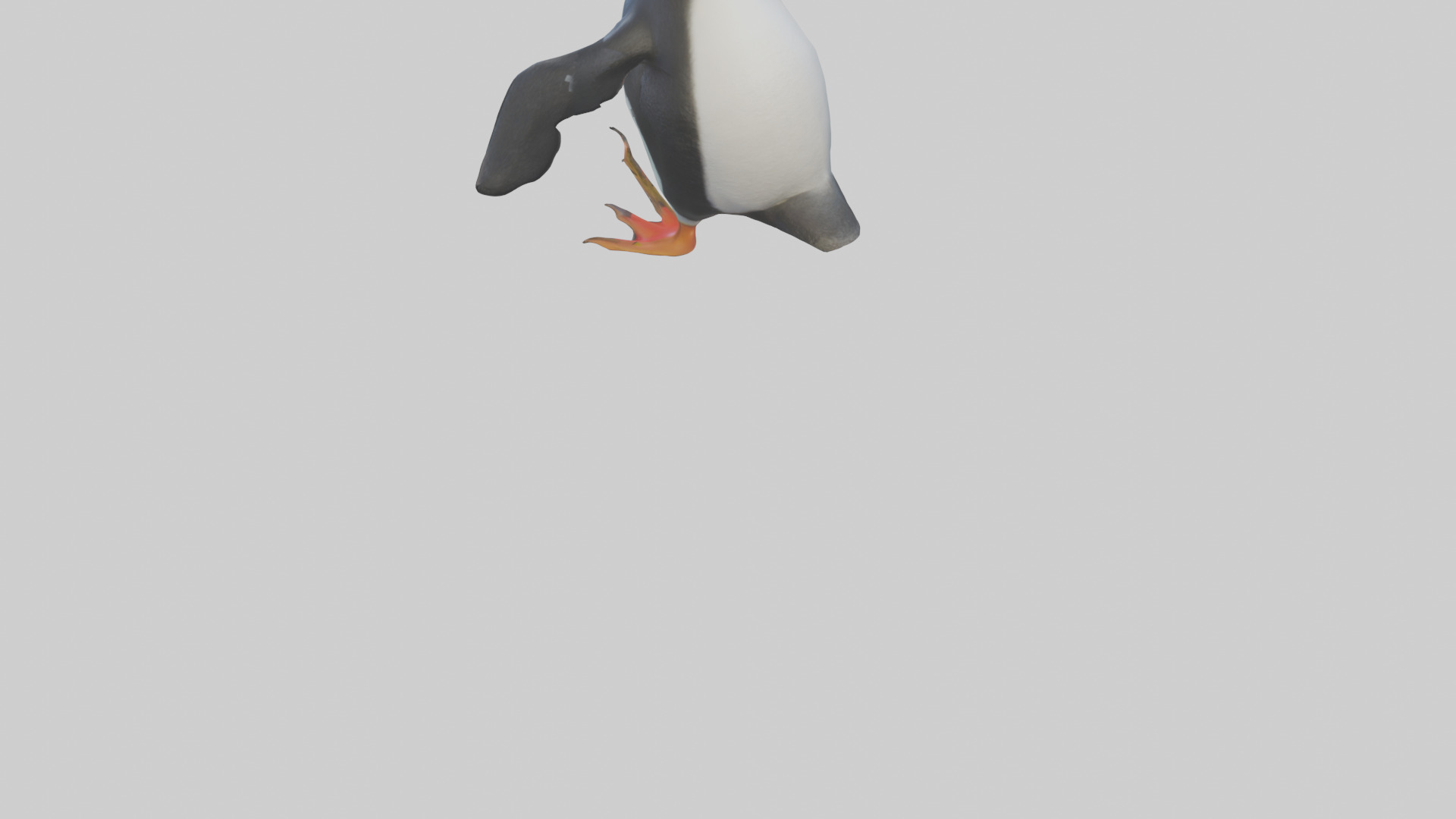 Rockhopper Penguin hopping model 3D model_3
