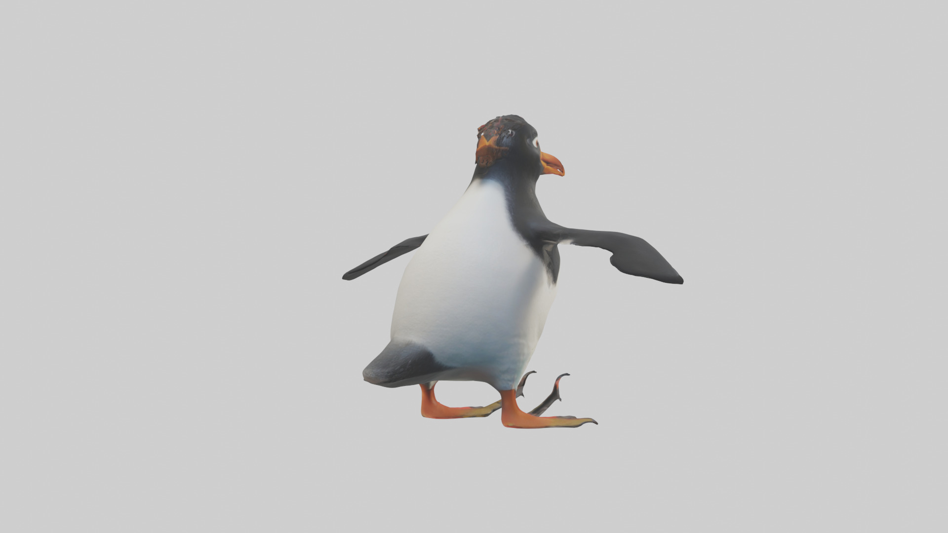 Rockhopper Penguin hopping model 3D model_2