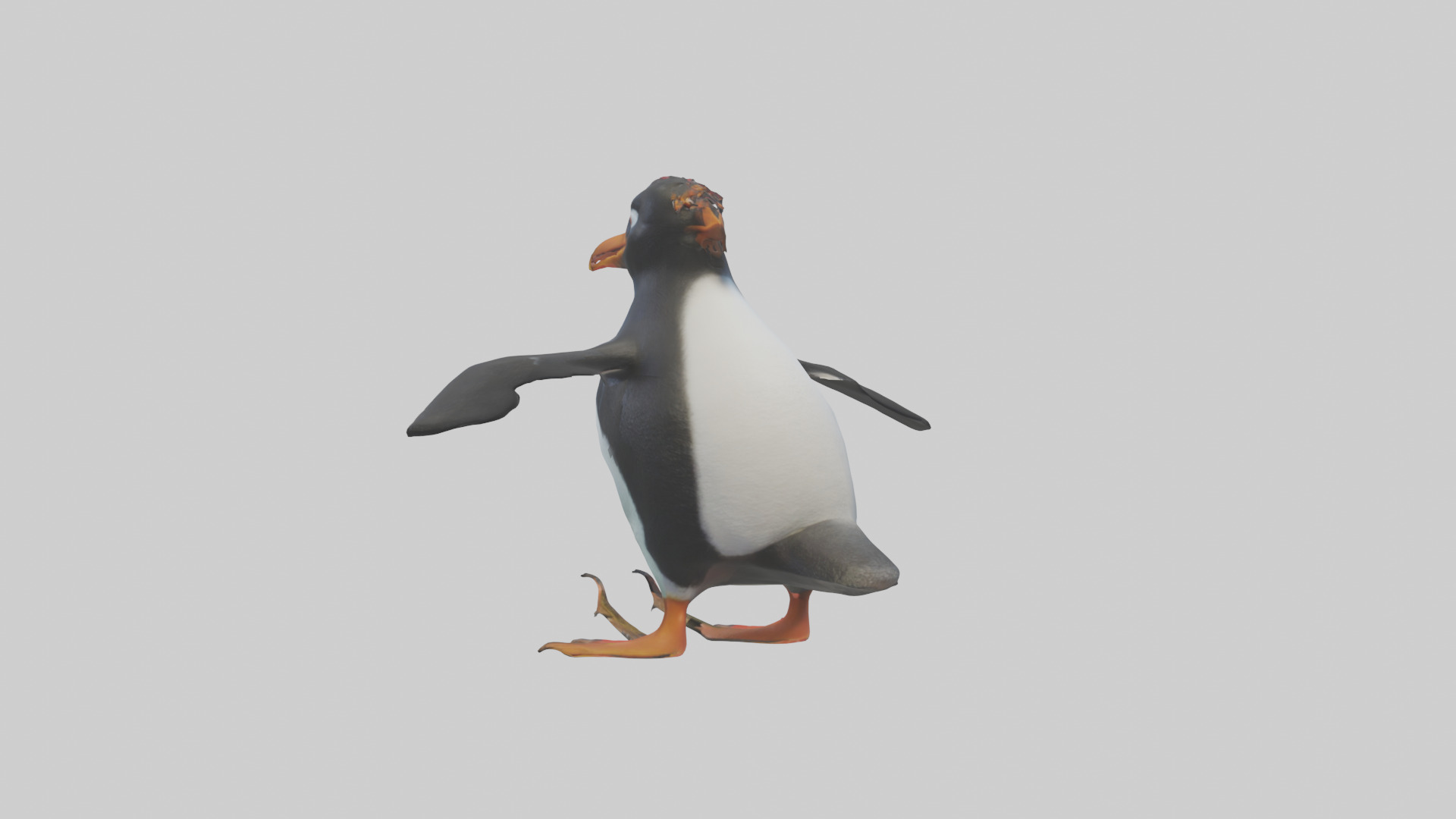 Rockhopper Penguin hopping model 3D model_1