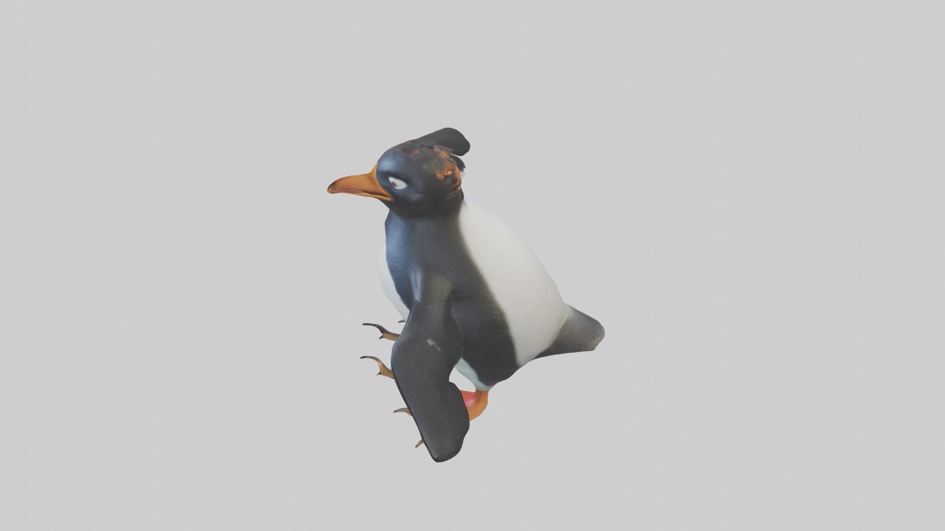 Rockhopper Penguin hopping model 3D model_17