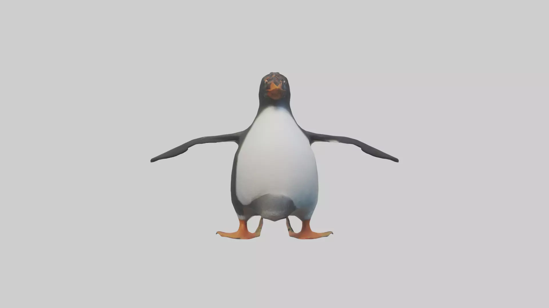 Rockhopper Penguin hopping model 3D model_0