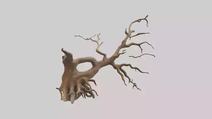 Root Tree Branch Sculpture model