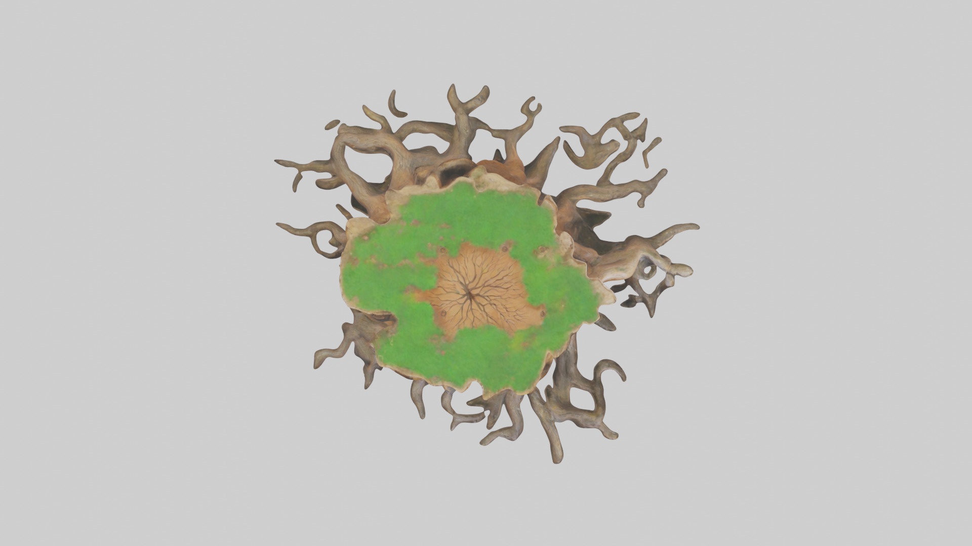 Rooted Tree Trunk Sculpture model 3D model_14