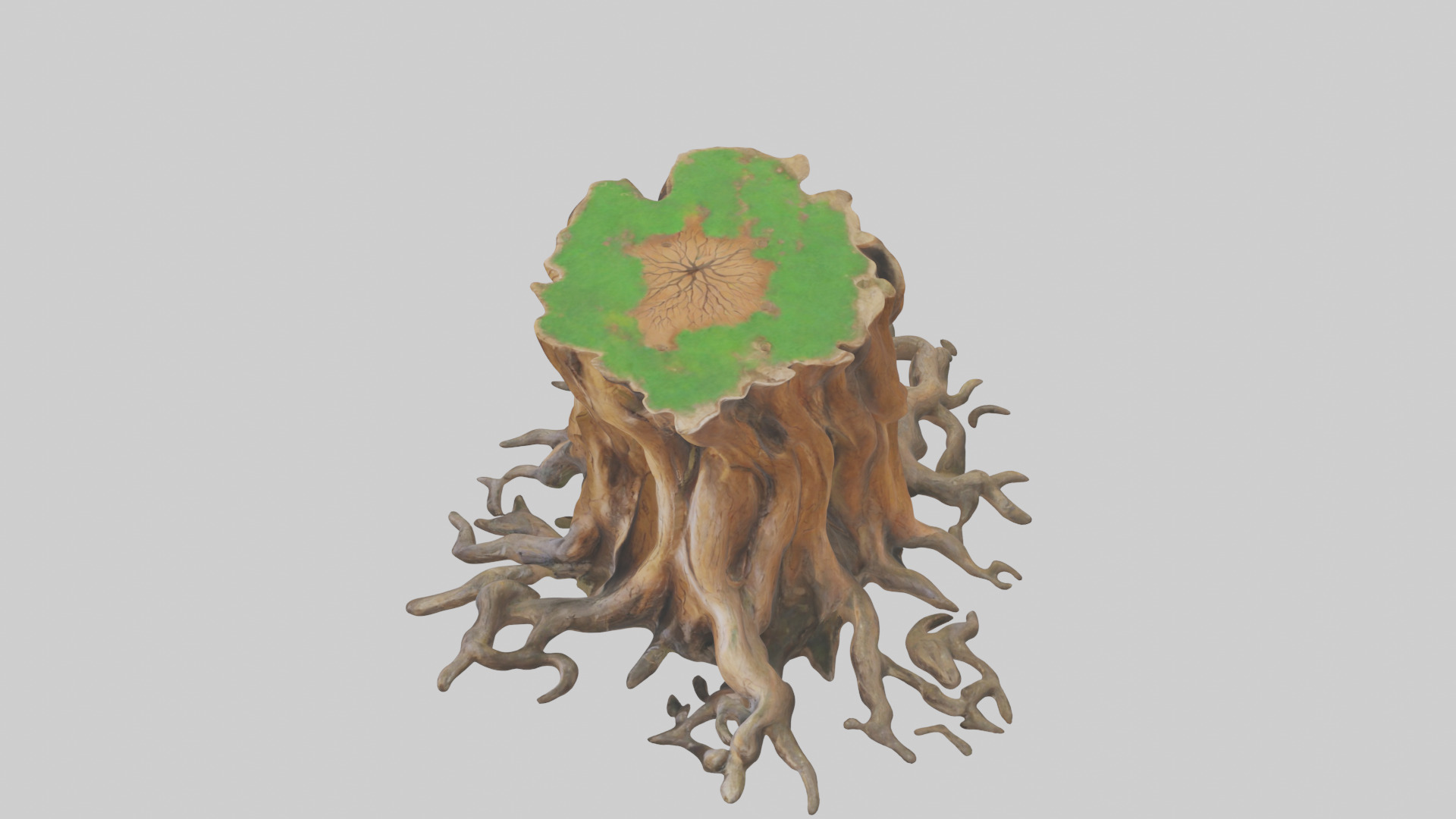 Rooted Tree Trunk Sculpture model 3D model_17
