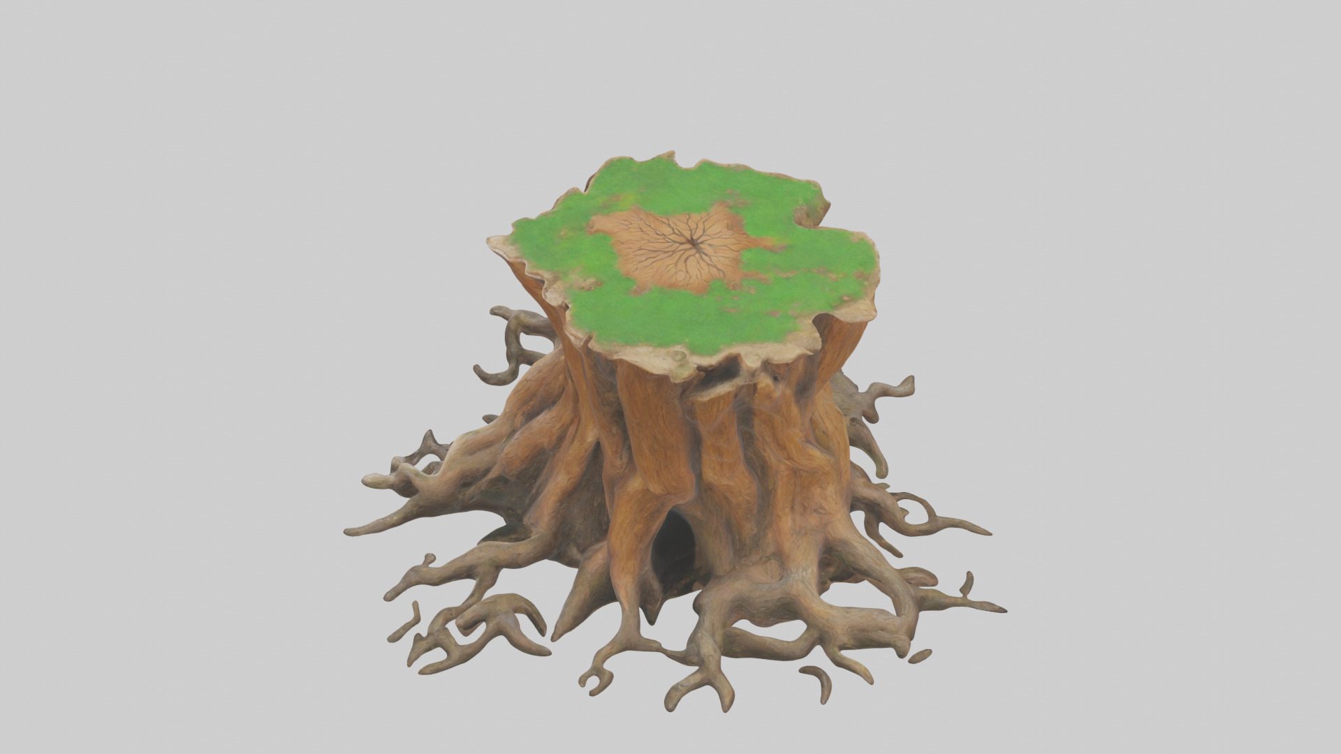 Rooted Tree Trunk Sculpture model 3D model_15