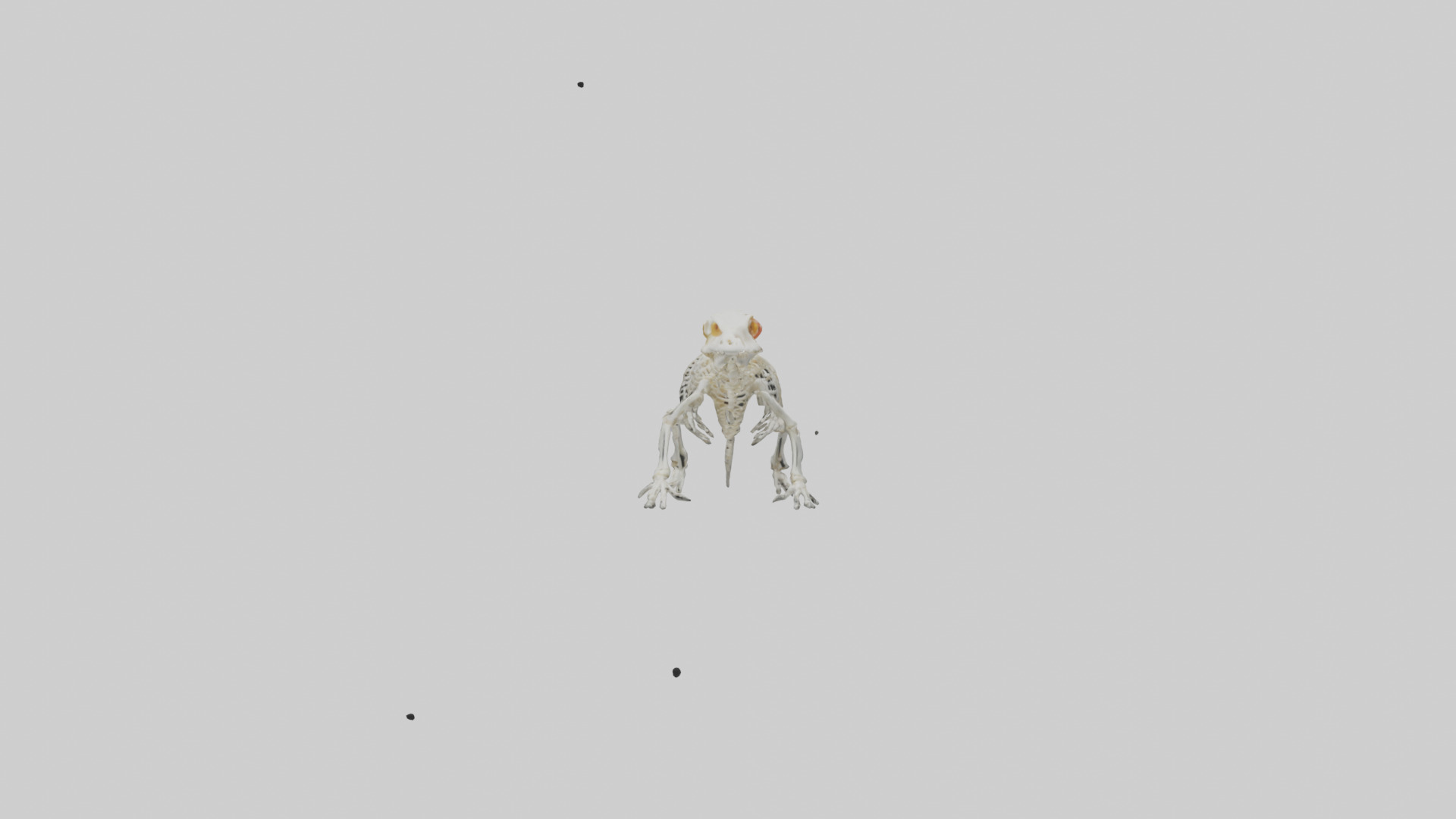 Salamander Skeleton model 3D model_9