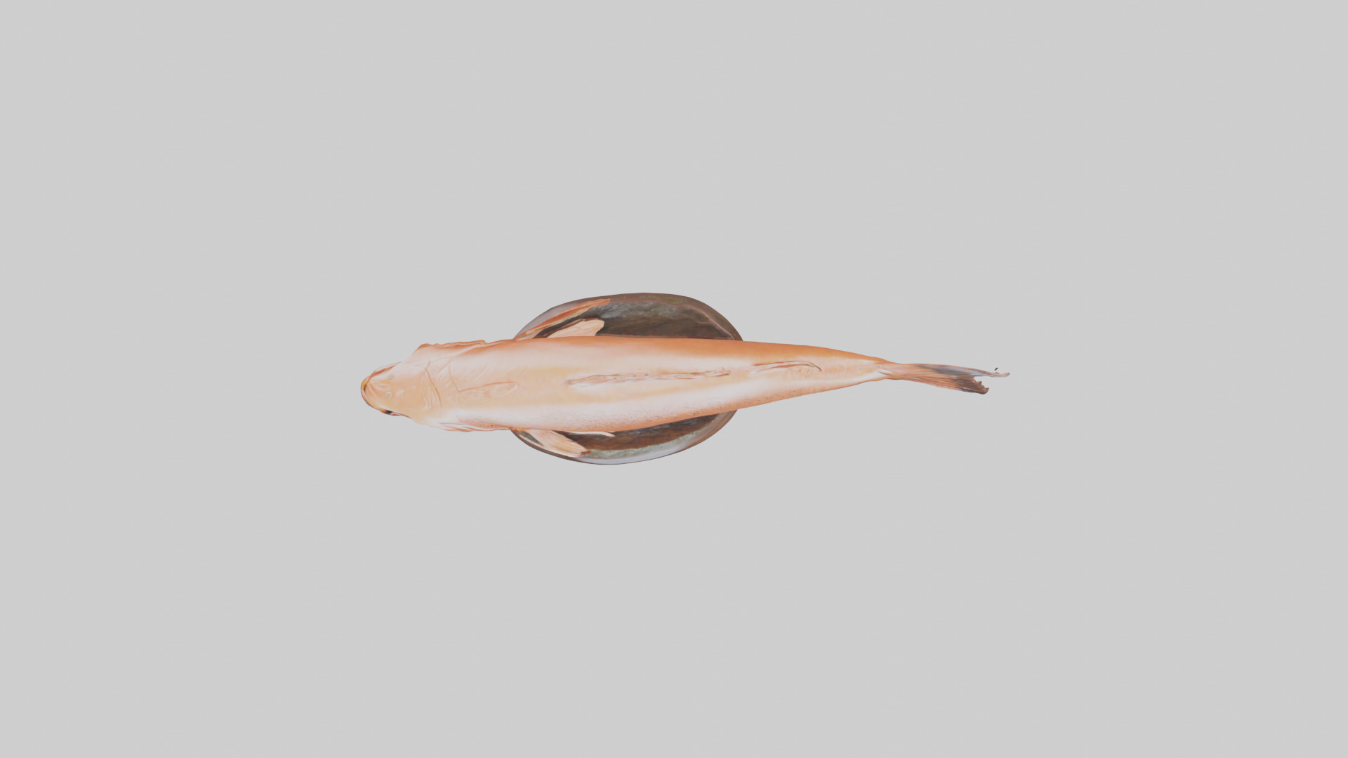 Salmon statue model 3D model_14